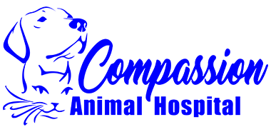 Animal Hospital in Winter Haven, FL | Veterinarians in Winter Haven, FL